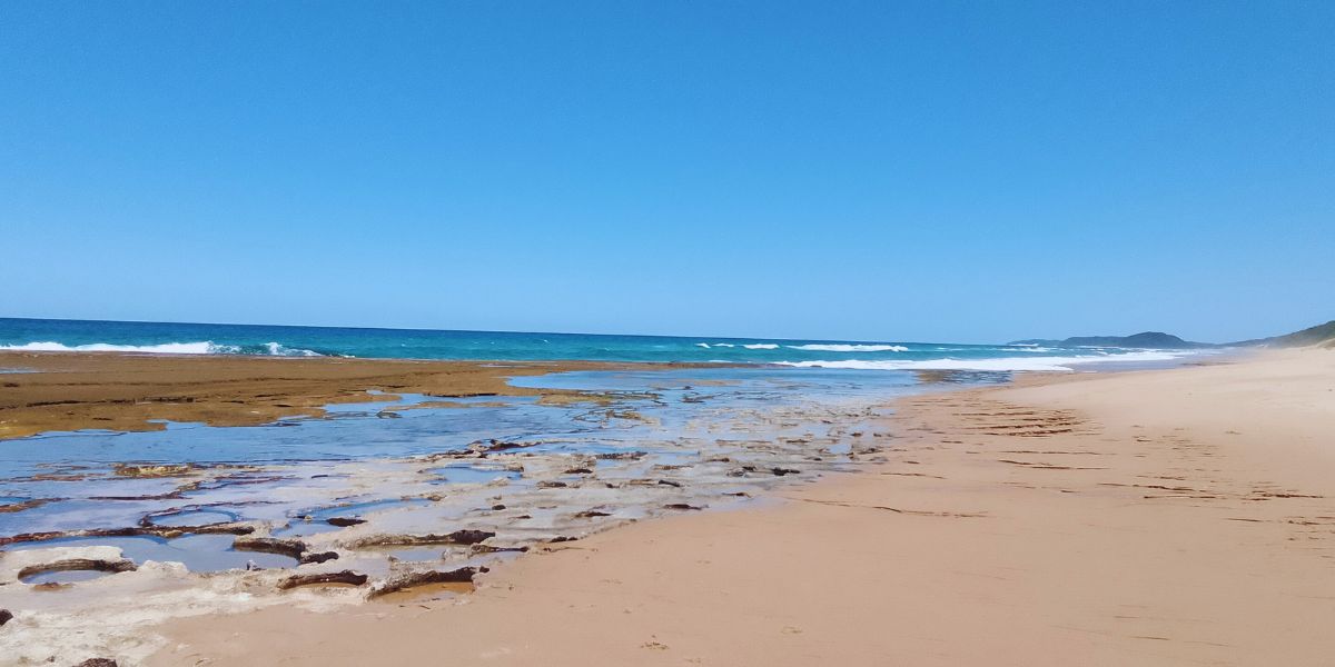O Encontro Mágico com os Golfinhos
