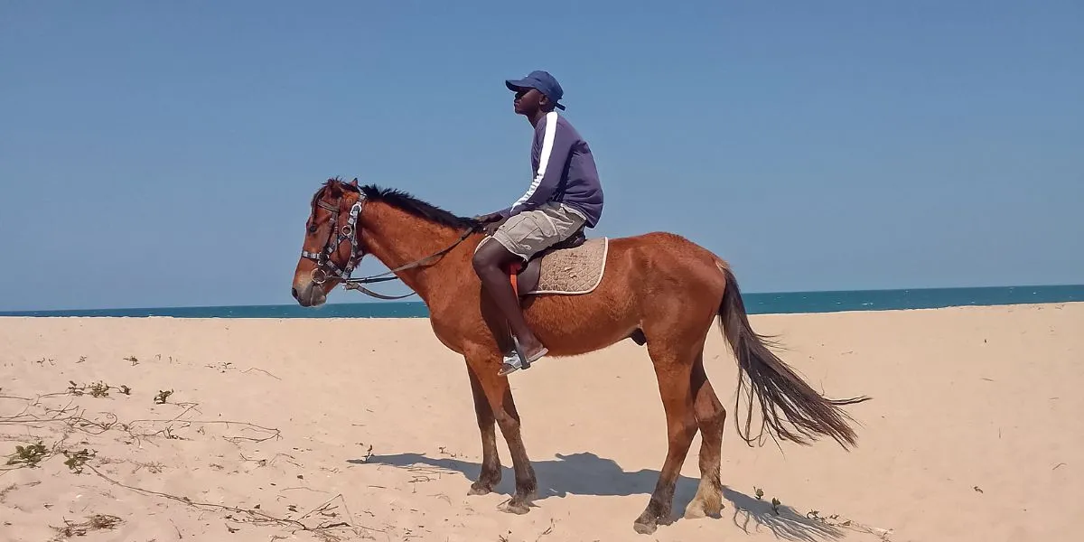 Cavalgadas na Praia de Macaneta: uma experiência inesquecível à beira-mar