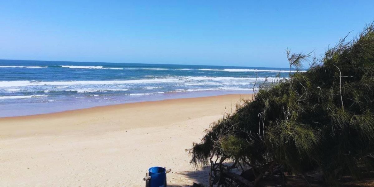 A Chegada a um Para&iacute;so Inesperado