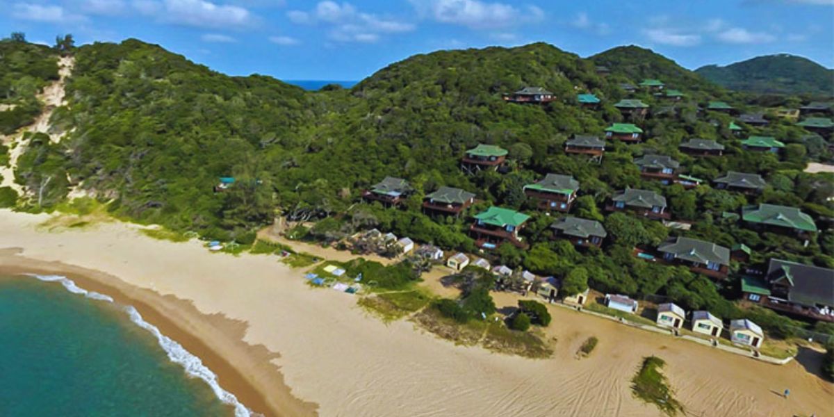 Ponta do Ouro: Onde os Golfinhos Dan&ccedil;am