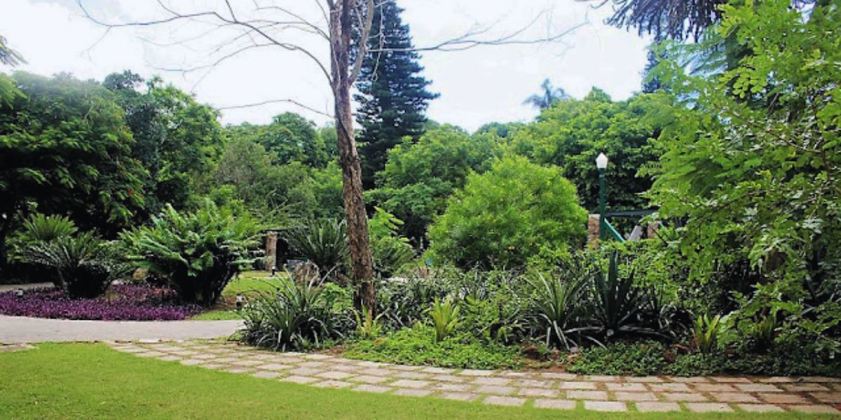 Jardim Bot&acirc;nico de Tunduro: Um O&aacute;sis Verde