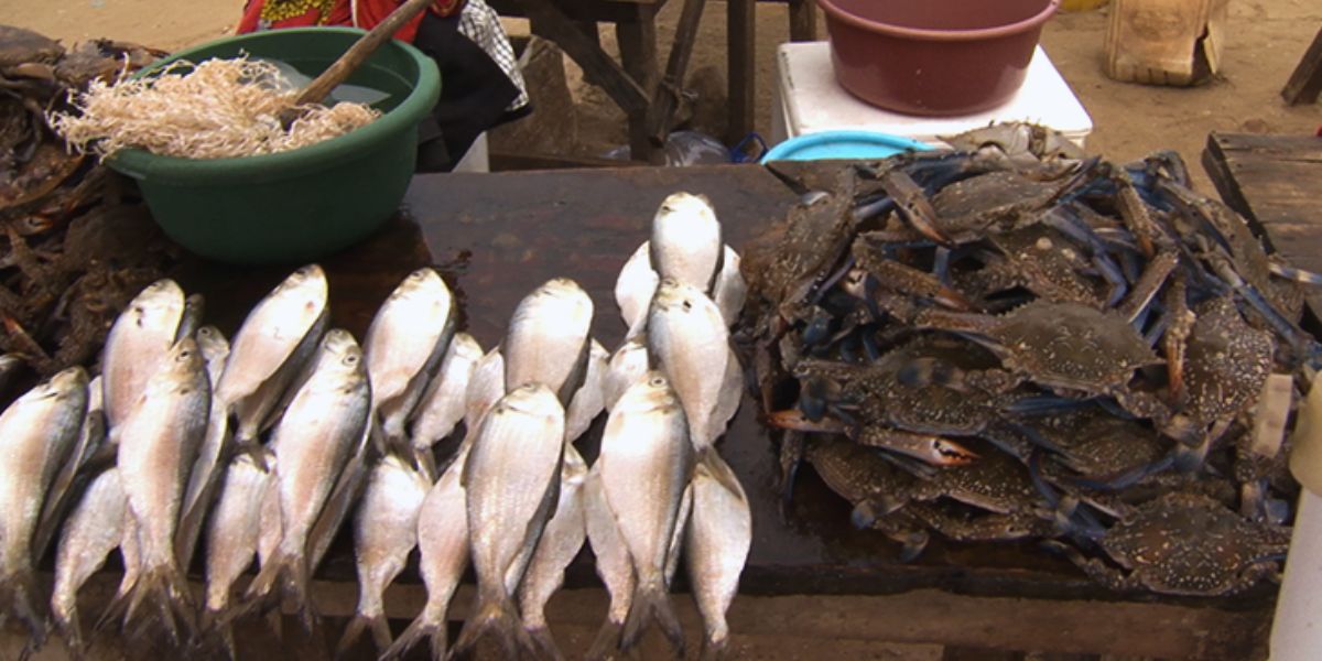 Mercado dos Pescadores em Maputo: Um Guia do Melhor Tesouro Culinário da Capital
