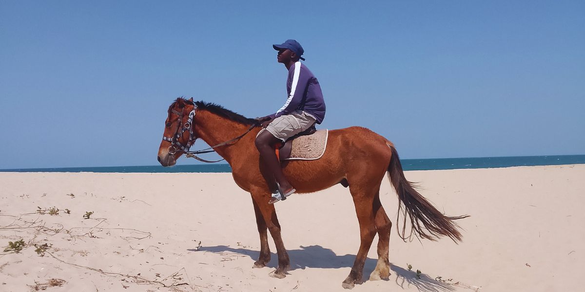 Passeio a Cavalo na Praia de Macaneta: Preços, Dicas e Como Funciona