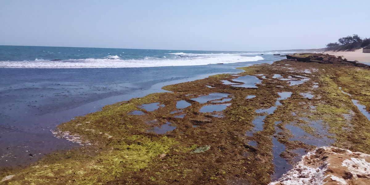 Praia de Xai-Xai: O Paraíso Escondido de Moçambique