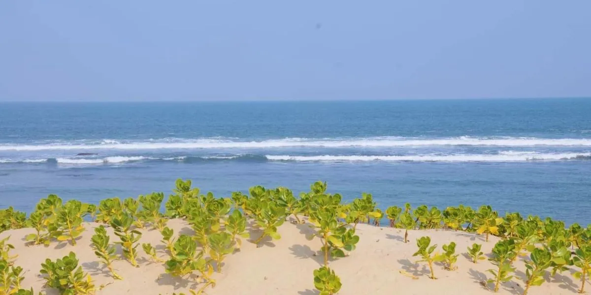 Imagem da galeria para praia-de-dengoine