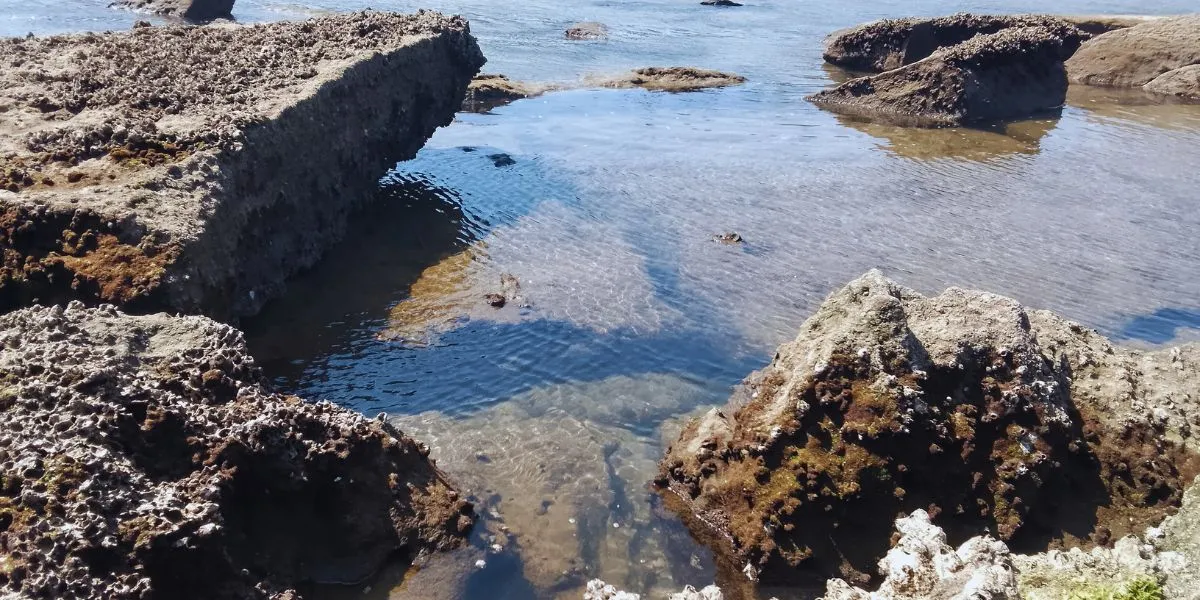 Imagem da galeria para praia-de-xai-xai
