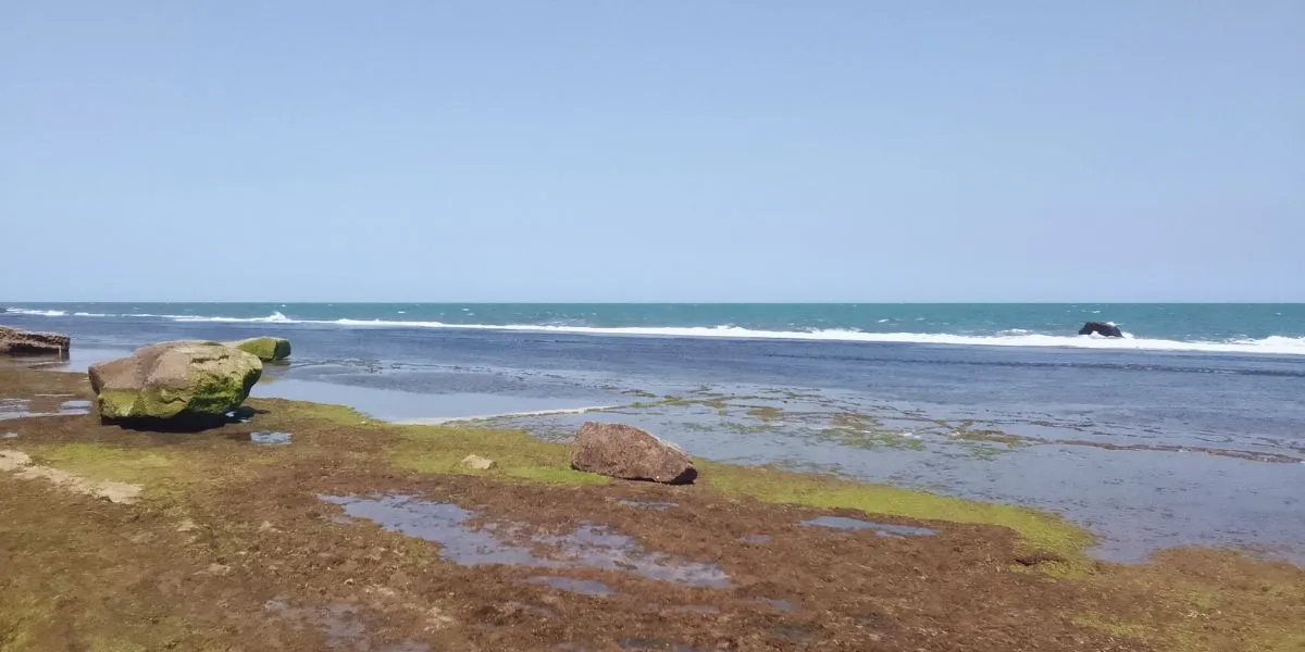 Imagem da galeria para praia-de-xai-xai